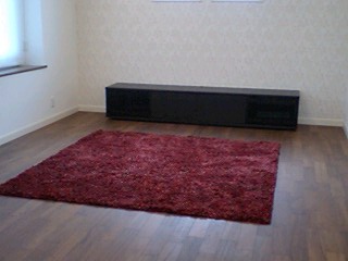10041502.jpg