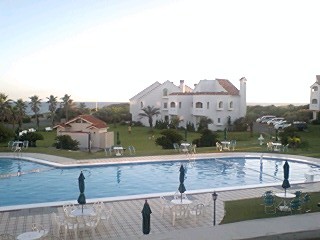 10081404.jpg