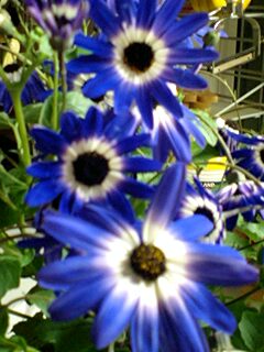 120105_2019~0002.jpg