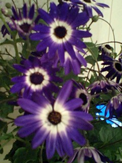 120105_2020~0001.jpg