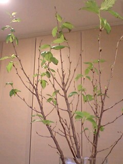 120203_0018~0001.jpg