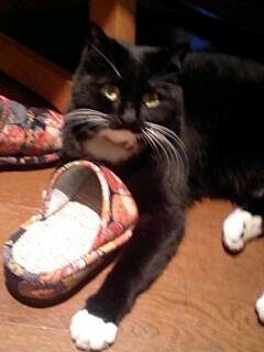 20090316tabi.jpg