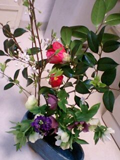 20090323flower1.jpg