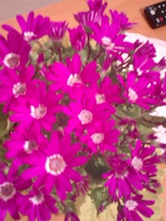 20090406flower2.jpg
