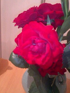 20090623flower4.jpg