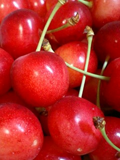 20090702cherry2.jpg