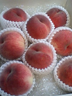 20090715peach2.jpg