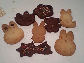 20090730cookie1.jpg