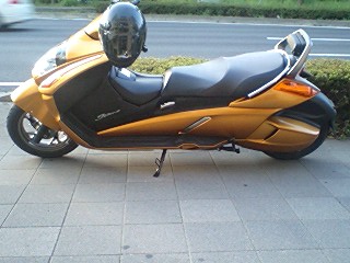 20090810bike2.jpg