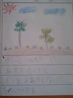 20090812diary2.jpg