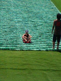 20090821sore1.jpg