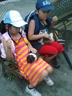 20090824zoo2.jpg
