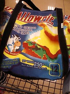 20091012mamabag1.jpg