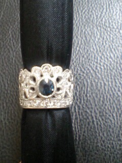 20091013ring1.jpg