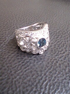 20091013ring3.jpg