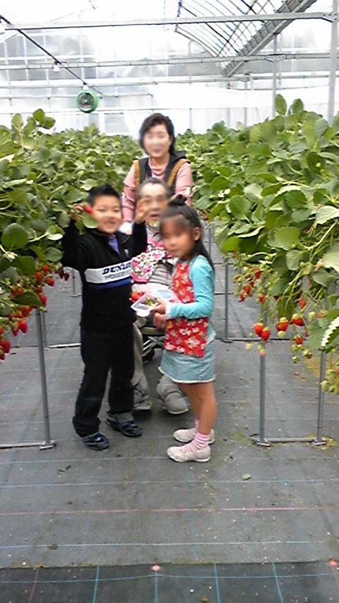 2009strawberry1.jpg