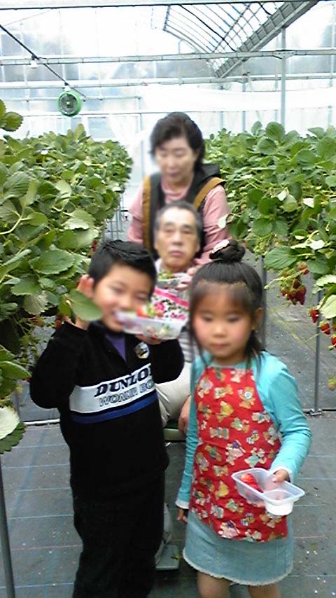 2009strawberry2.jpg
