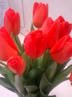 2009tulip2.jpg