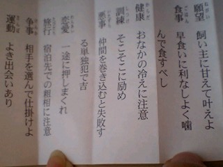 20100105goodluck4.jpg