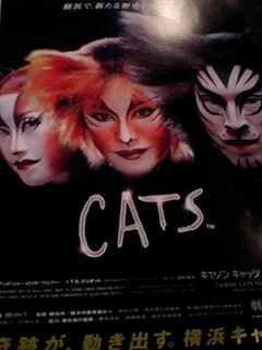 20100106cats.jpg