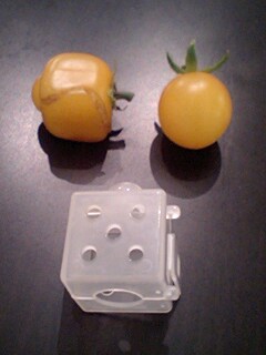 2010083001.jpg