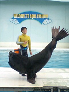 2010090501.jpg