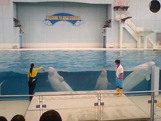 2010090502.jpg