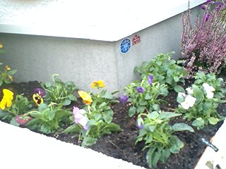 2010102501.jpg