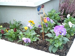 2010102502.jpg