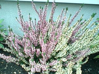 2010102503.jpg