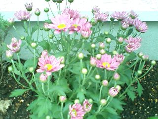 2010102504.jpg