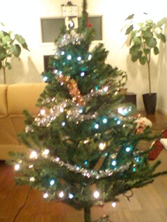2010111801.jpg