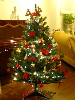 2010112501.jpg