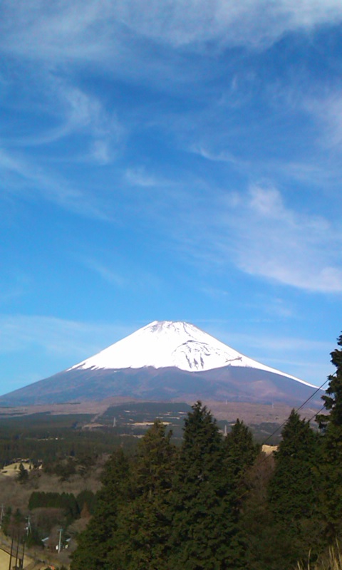 2010120201.jpg