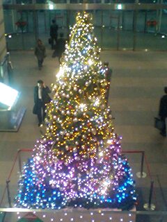 2010120601.jpg