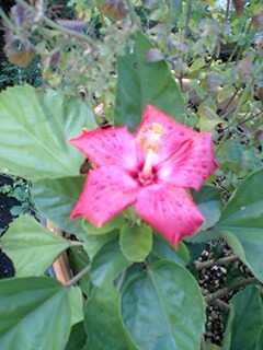 2010121501.jpg