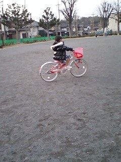 2011010101.jpg