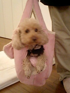 2011020301.jpg