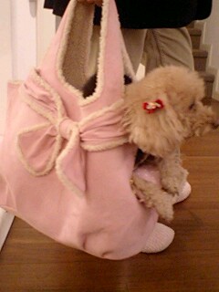 2011020302.jpg