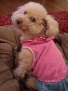 2011021801.jpg
