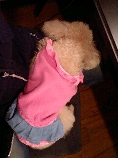 2011021901.jpg