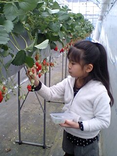 2011022301.jpg