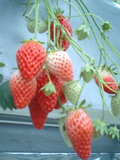 2011022303.jpg