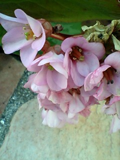 2011030802.jpg