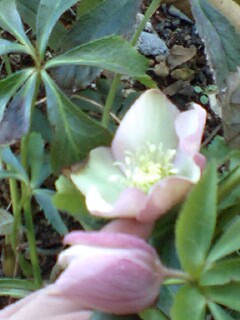 2011030804.jpg