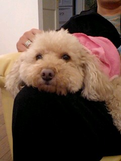 2011032204.jpg