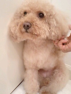 2011033102.jpg