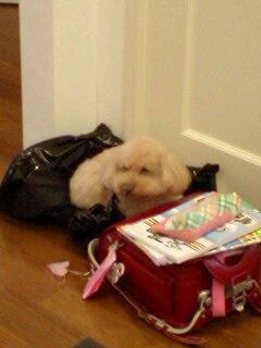 2011040402.jpg