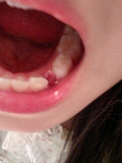 2011040602.jpg