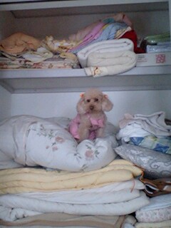 2011051401.jpg